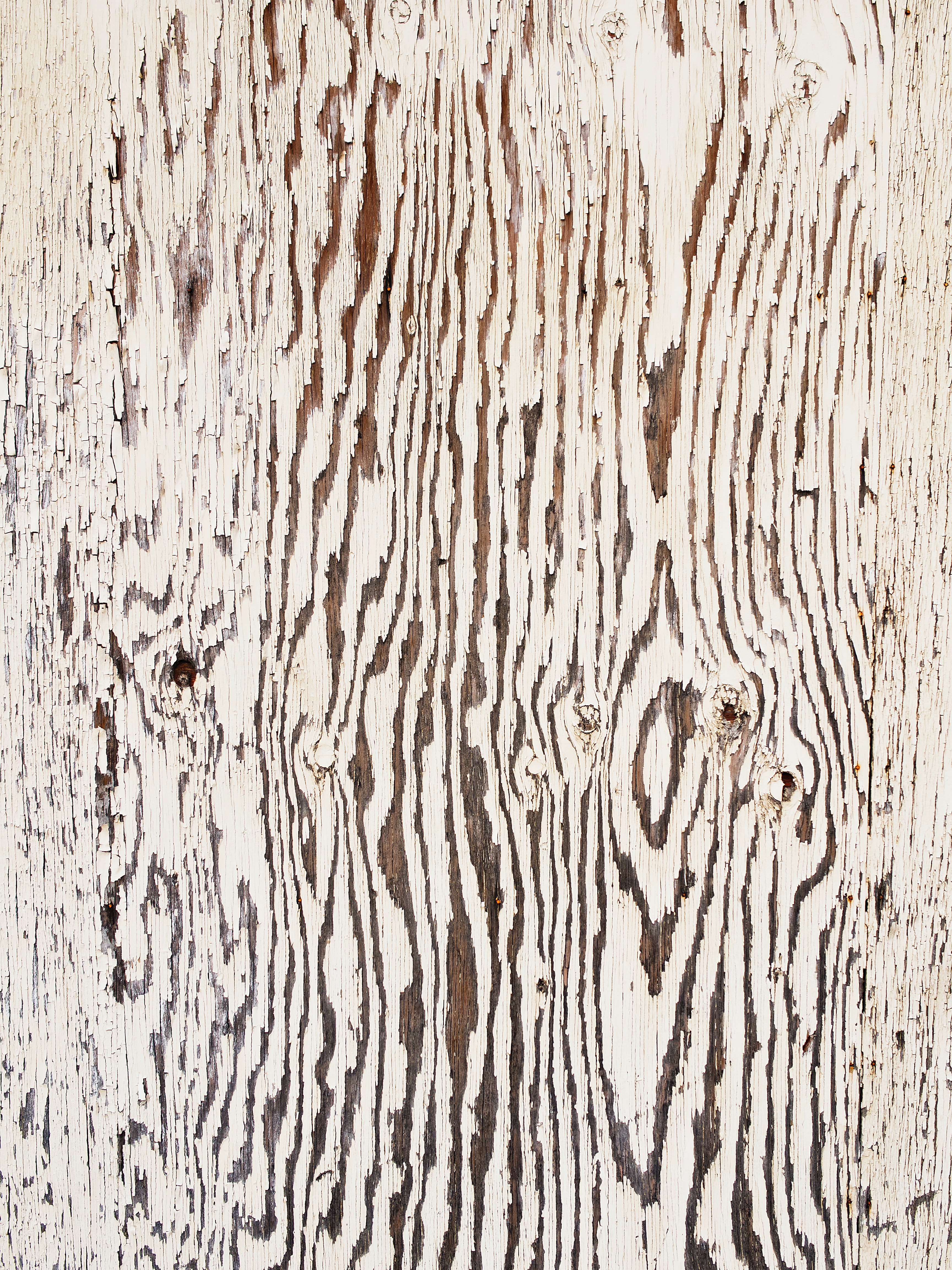 frank-luca-Yi_cW71j6s4-unsplash